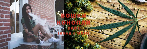 бутират Белокуриха