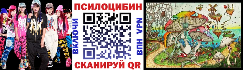 купить наркотики цена  Наволоки  МЕГА онион  Галлюциногенные грибы Magic Shrooms 