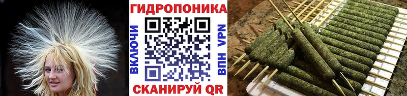 купить наркотики сайты  mega вход  МАРИХУАНА LSD WEED  Наволоки 